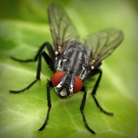 /album/elcomdialear/photolia-a01-jpg/