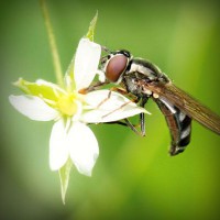 /album/elcomdialear/photolia-a02-jpg/