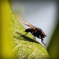 /album/elcomdialear/photolia-a04-jpg/