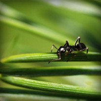 /album/elcomdialear/photolia-a05-jpg/