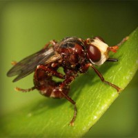 /album/elcomdialear/photolia-a06-jpg/
