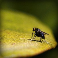 /album/elcomdialear/photolia-a07-jpg/